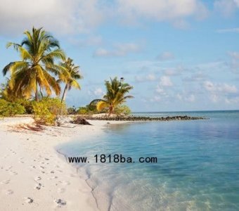 beach怎么读(beach的读法)