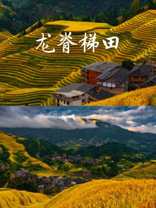 一、龙胜梯田