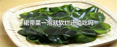 ​裙带菜泡完有点发粘 裙带菜泡出来很软