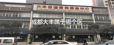 ​成都市大丰属于哪个区 成都市大丰属于哪个区啊
