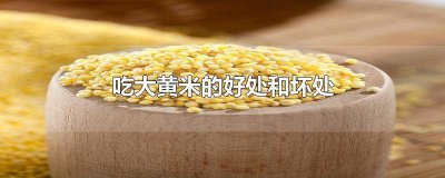 ​吃黄米有哪些好处和坏处 吃黄米有哪些好处和功效