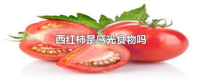 ​西红柿是感光食物吗为什么 感光的食物和水果都有哪些?西红柿是感光食物吗
