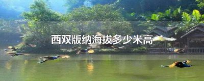 ​西双版纳海拔多少米高景洪 西双版纳海拔多少米高水能烧开吗