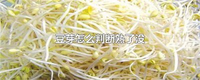 ​豆芽熟不熟 怎么判断黄豆芽熟没熟