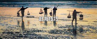 ​赶海小技巧 赶海怎么抓东西