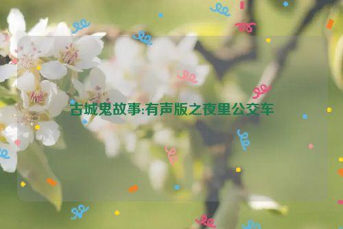 古城鬼故事:有声版之夜里公交车