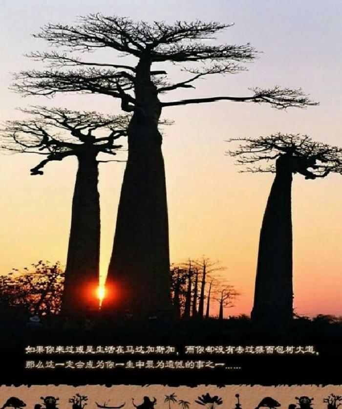 被世界所遗忘的孤岛 马达加斯加