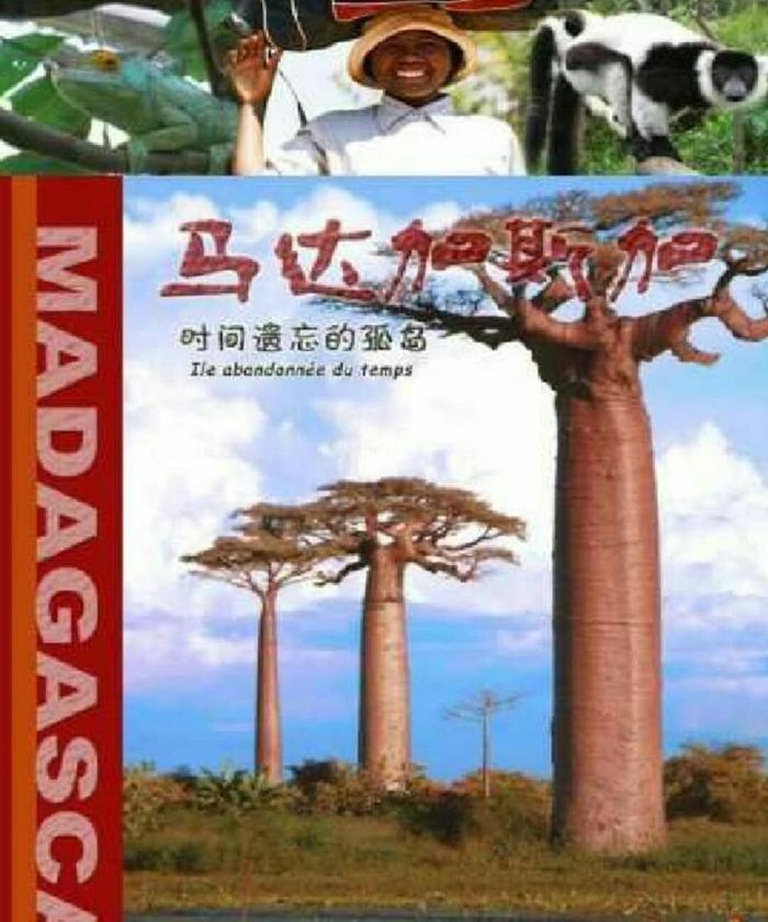 被世界所遗忘的孤岛 马达加斯加