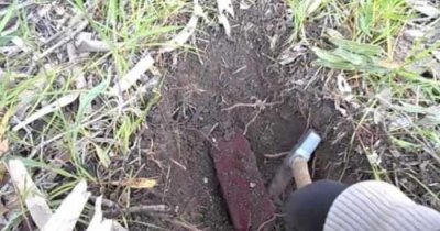 ​男子野外挖竹笋，一锄头下去发现个破旧的盒子，打开后惊喜了