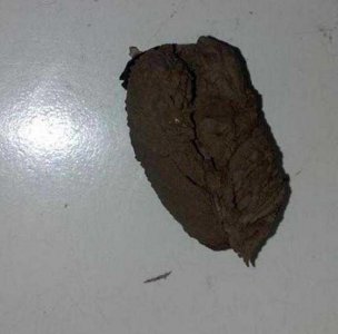 ​男子在天花板上发现一个泥团，打开后里面的东西令他全身发麻