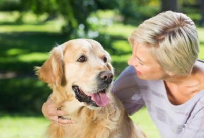 ​大型犬多少钱一只德牧大型犬多少钱一只