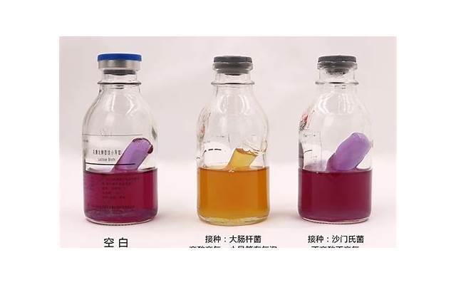 天蝎座和谁注定是夫妻 与天蝎座最般配的星座 天蝎座和谁注定是夫妻 与天蝎座最般配的星座