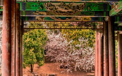 ​畅春园是清朝皇家园林，位于北京海淀区