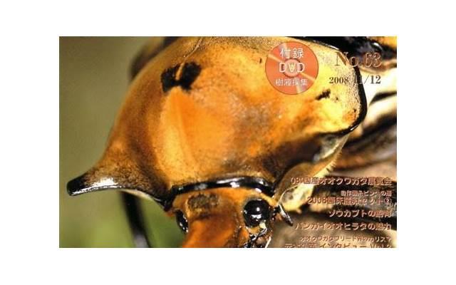 简短又具有哲理性的小故事,每个故事都极具深意 简短又具有哲理性的小故事,每个故事都极具深意