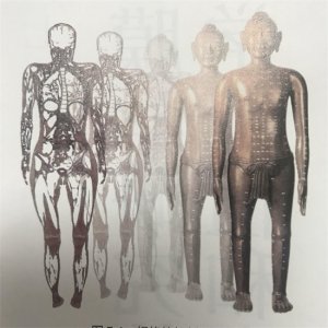 ​俗话说的：筋长一寸命长十年，是有科学理论依据的
