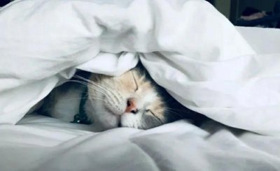 ​一个人开悟后有多可怕