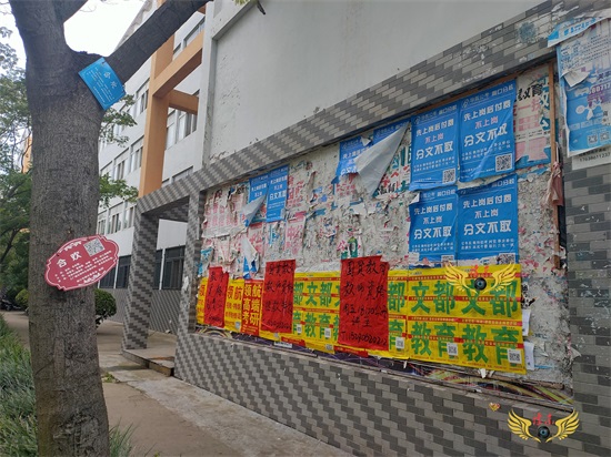 周口师范学院,豫东绿色园林式师范类本科学院