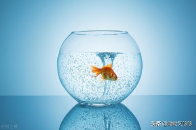 ​千奇百怪的效应-金鱼缸效应
