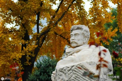 ​鲁迅诗精读：无情未必真豪杰-《答客诮》赏析