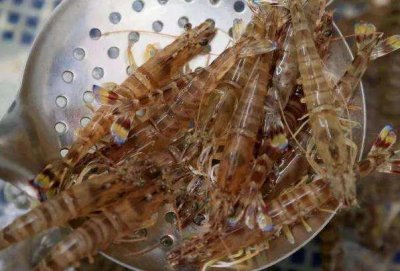 吃了30年的虾肉,终于知道基围虾和明虾的区别了,以后不会买错了