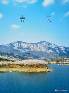 ​走起！贵阳这两处樱花已绽放