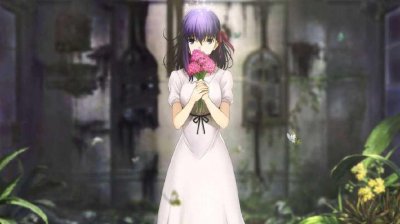 ​如何评价《fate stay night》hf线？