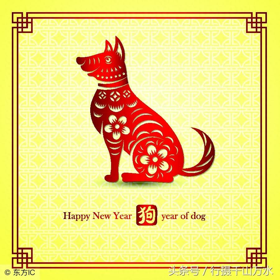 狗年春节到了,10张狗狗创意图片,祝你狗年兴旺,十全十美!