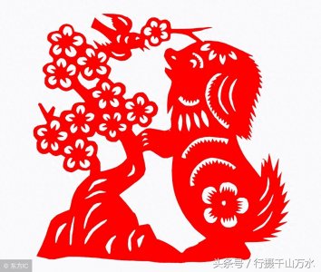 ​狗年春节到了,10张狗狗创意图片，祝你狗年兴旺，十全十美！