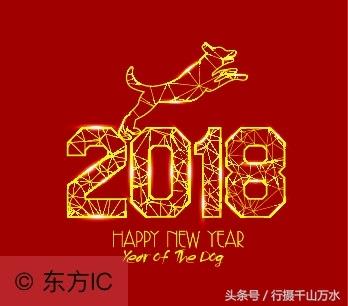 狗年春节到了,10张狗狗创意图片,祝你狗年兴旺,十全十美!