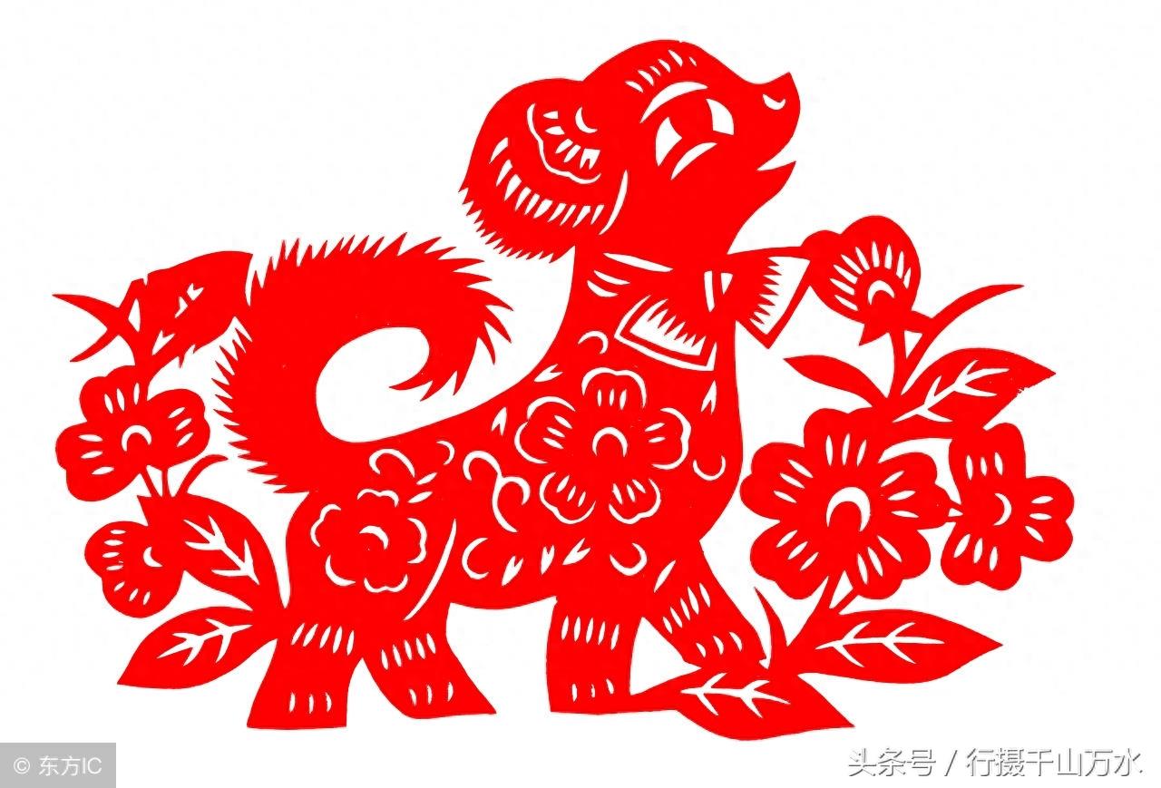 狗年春节到了,10张狗狗创意图片,祝你狗年兴旺,十全十美!