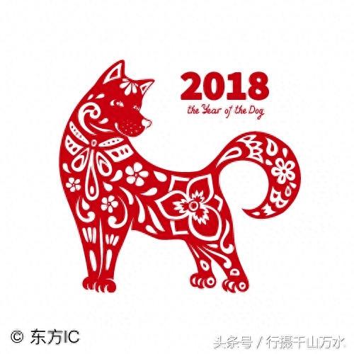 狗年春节到了,10张狗狗创意图片,祝你狗年兴旺,十全十美!