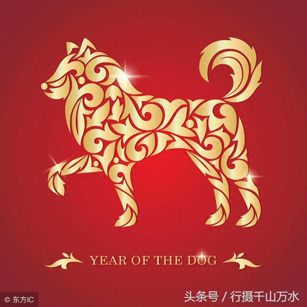 狗年春节到了,10张狗狗创意图片,祝你狗年兴旺,十全十美!