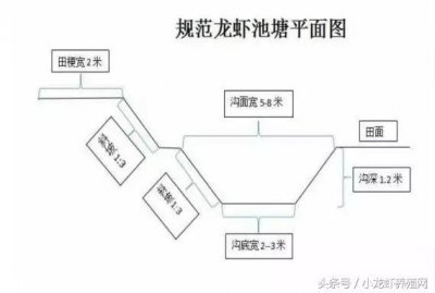 ​小龙虾养殖池塘设计图分享，小龙虾池塘开挖的方法及注意事项！
