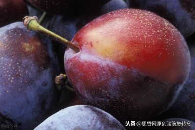 ​白糖梅子真希奇，也没核儿也没皮，过了正月没人提（打一食物）