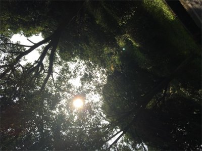 ​黄山鲁森林公园！作为南沙人，不得不来的地方！