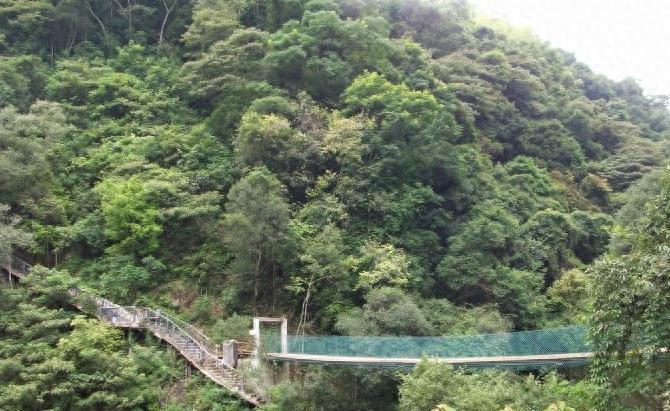 梅州休闲好去处之十六--八乡山大峡谷