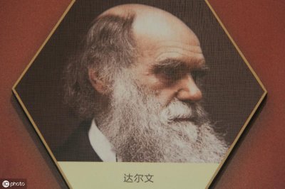 ​进化论有没有被推翻，学术界是怎么看的