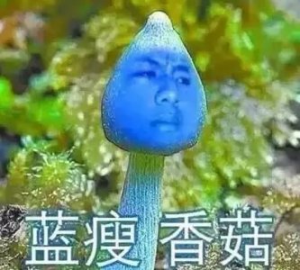 ​广西史上最牛网红排行榜