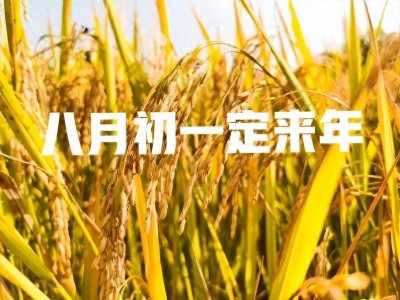 ​明日八月初一，老话“八月初一定来年”，有啥说法？早看早知道