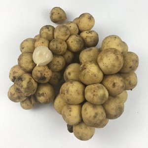​什么水果才可以被称为爱情果