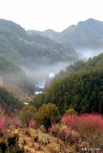 姹紫嫣红的皖南古村落卖花渔村:一个只看梅花不卖鱼的鱼村