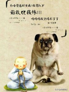 ​圈子到底是什么？