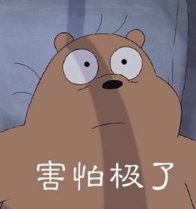 ​裸熊表情包合集｜已读不回