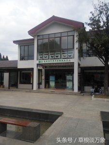 ​行走扬州之湾头镇茱萸湾湿地公园