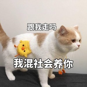 ​表情包 哄女朋友系列