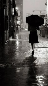 ​七律·雨打芭蕉