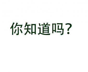 每日一新词:affluent