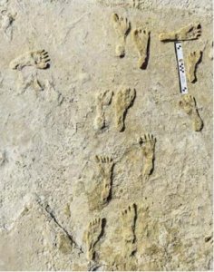 ​北美最古老的人类脚印：23000年前，早期人类穿越北美