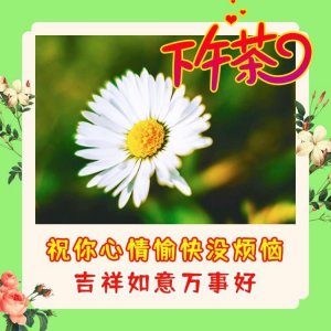 ​漂亮的下午好祝福美图带字，祝福朋友吉祥如意万事好