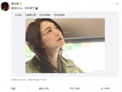 ​岁月不败美人！李小冉罕见晒近照 侧颜温婉气质绝佳